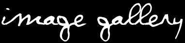 ImageGallery.jpg (12997 bytes)